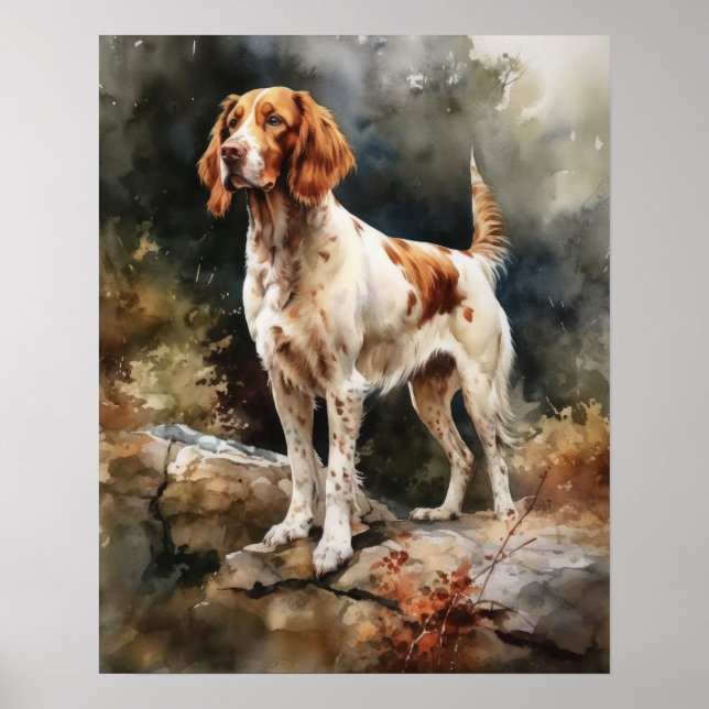 Irish Red And White Setor Dog Art Impressão Poster (Frente)