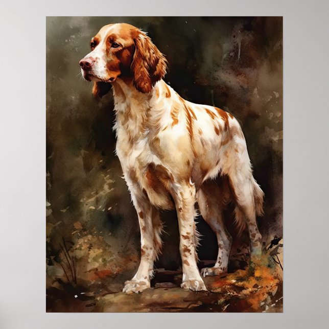 Irish Red And White Setor Dog Art Impressão Poster (Frente)