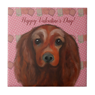 Irish Red Setter