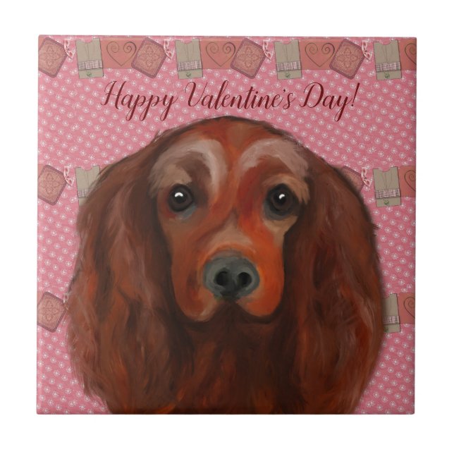 Irish Red Setter (Frente)