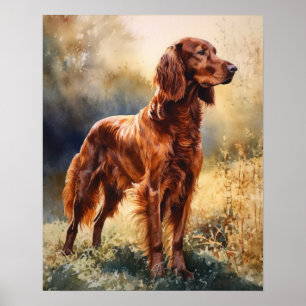 Irish Setter Art Impressão Poster