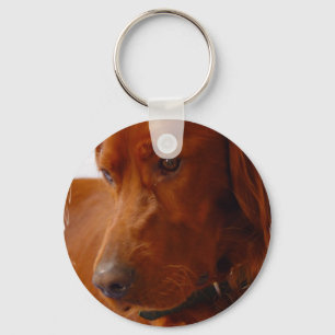 Irish Setter Chaveiro