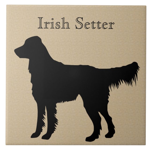 Irish Setter Dog Silhouette (Frente)