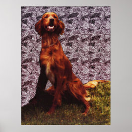 Irish Setter e Patterte Concrete Wall Poster