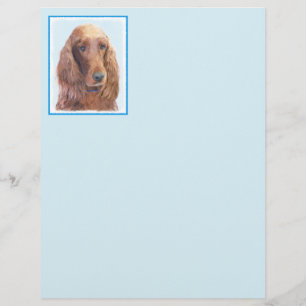Irish Setter Painting - Bela Arte Original De Cach