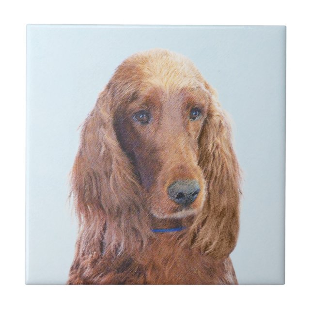 Irish Setter Painting - Bela Arte Original De Cach (Frente)