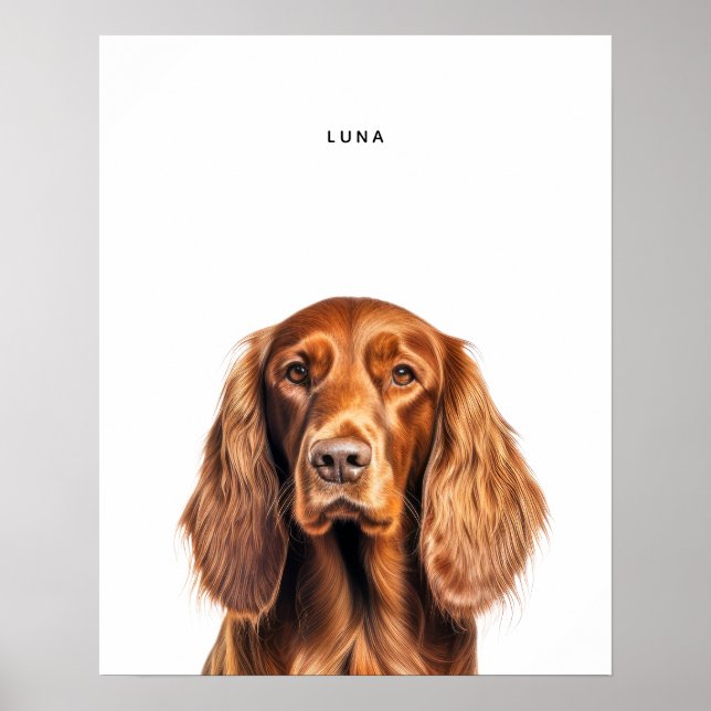 Irish Setter Personalizado Impressão (Frente)