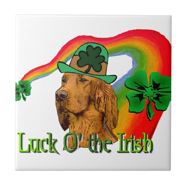 Irish Setter St Patricks (Frente)