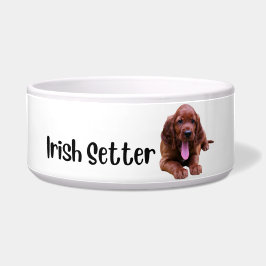 Irish Setter - tigela de cão por raça
