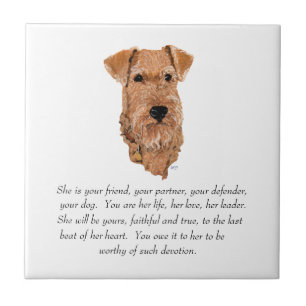 Irish Terrier Lembrança - Fêmea
