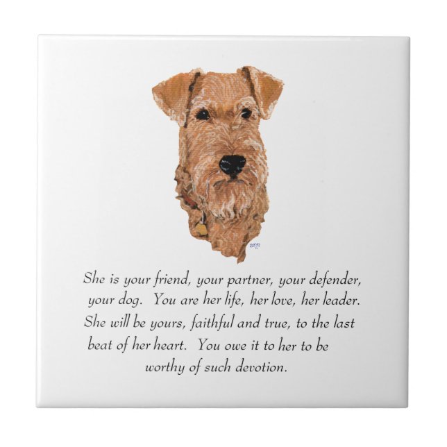 Irish Terrier Lembrança - Fêmea (Frente)