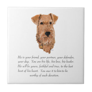 Irish Terrier Lembrança - Macho