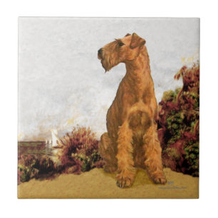 Irish Terrier Seaside