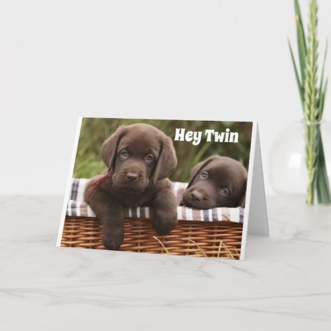 **IRMÃO GÊMEO OU IRMÃ GÊMEA** CARTÃO DE ANIVERSÁRI (Frente)