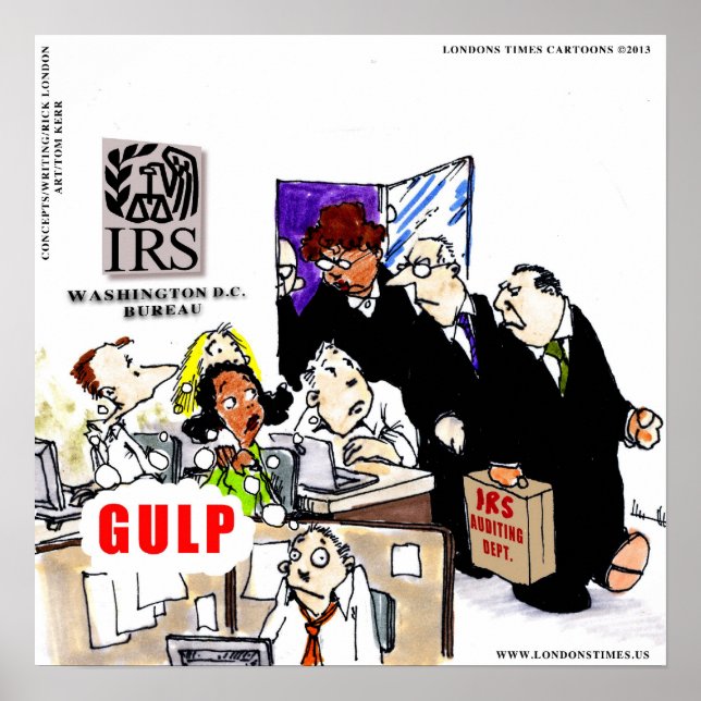 IRS Audits IRS Funny Poster (Frente)