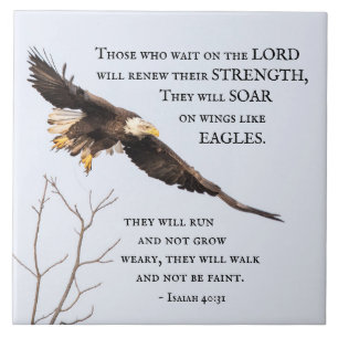 Isaiah 40:31 Aqueles que esperam pelo Senhor, Bíb