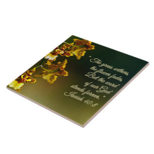 Isaiah 40:8 Inspiracional