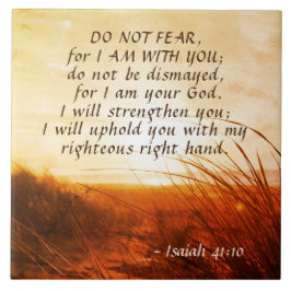 Isaiah 41:10 Bíblia Verse Não temo que estou com v