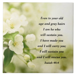 Isaiah 46:4 Eu sou Ele que vai sustentar você