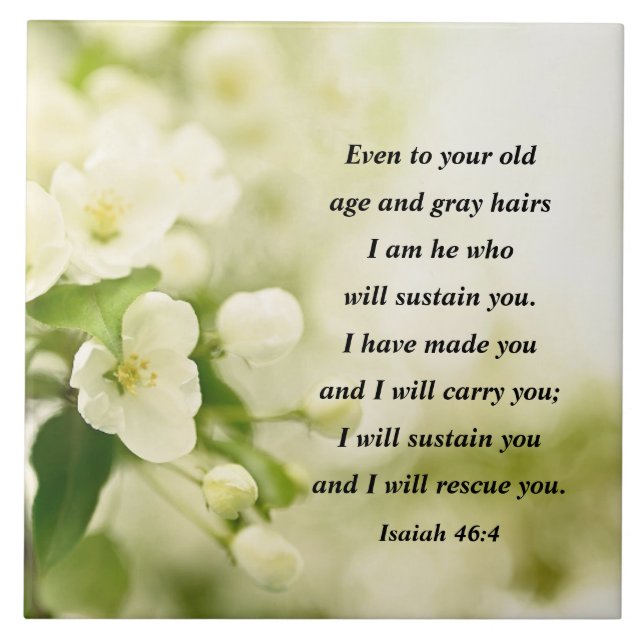 Isaiah 46:4 Eu sou Ele que vai sustentar você (Frente)