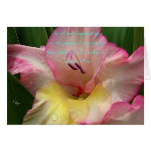 Isaiah 49:16 Cartão Gladiolus Rosa Raindrop