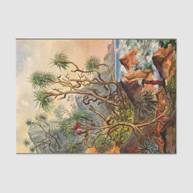 Island Ernst Haeckel Decoupage Papel Tecidual (Frente )