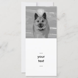 IslandêsSheepdog20151203