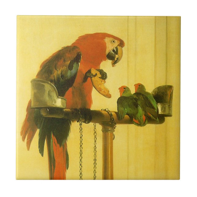 Islay, Tilco, Macaw and Love Birds de Landseer (Frente)