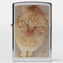 Isqueiro legal de Zippo do gato