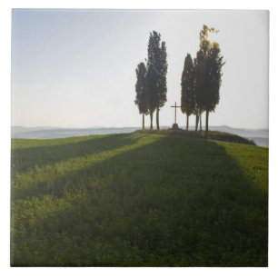 Itália, Toscana, Ciprestes na Toscana com