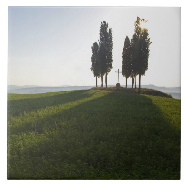 Itália, Toscana, Ciprestes na Toscana com (Frente)