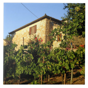 Itália, Toscana, Greve. Cenas de vinho no final do