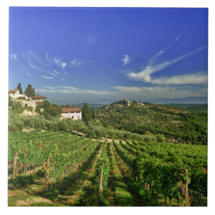 Itália, Toscana, Greve. Os vinhedos de Castello