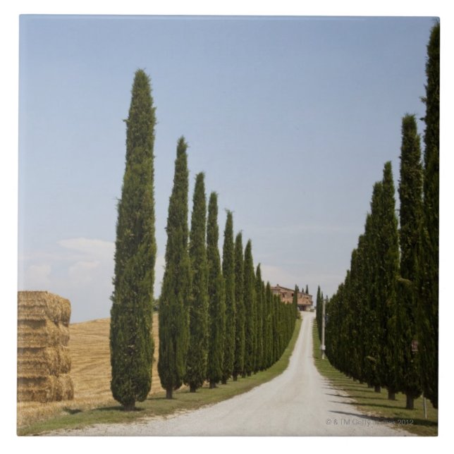 Italia. Toscânia. Val D'Orcia (vale de Orcia) 3 (Frente)