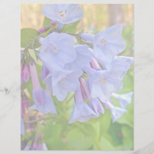 Itens de Coordenação de Virginia Bluebells (Frente)