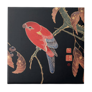 Ito Jakuchu Papagaio Vermelho no Galho Arte Japone