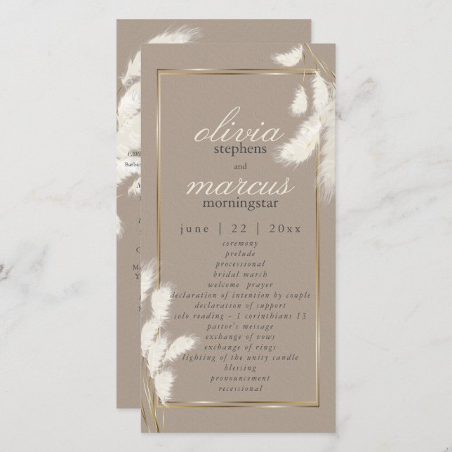 Ivory Pampas Grass Abby1 (Frente/Verso)