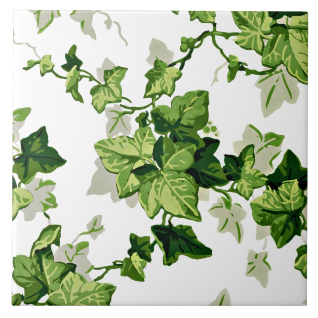 Ivy Leaves (Frente)