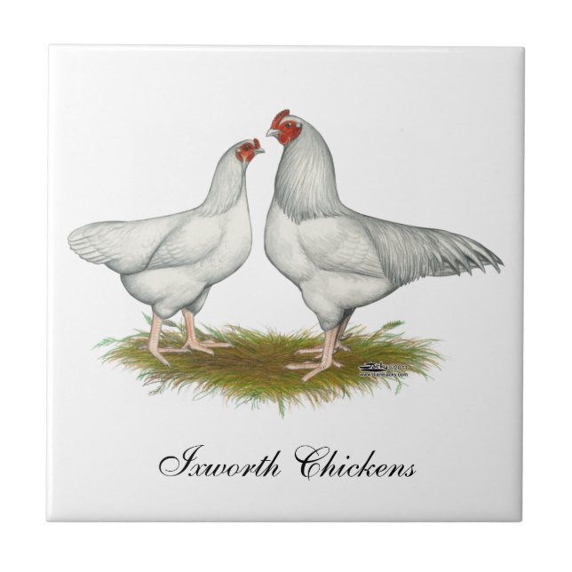 Ixworth Chickens (Frente)