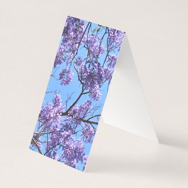 Jacaranda Blossoms (Frente)