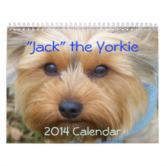 "Jack" o Yorkie - calendário 2014