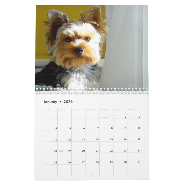 "Jack" o Yorkie - calendário 2014 (Jan 2026)
