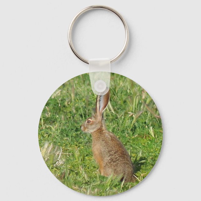 Jack Rabbit chaveiro (Frente)