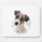 Jack Russell Mousepad