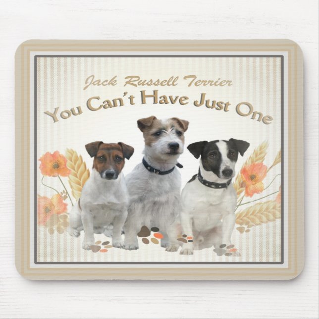 Jack Russell não pode ter apenas um mousepad (Frente)