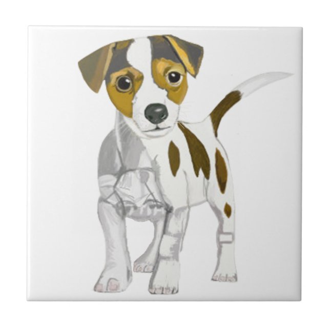 Jack Russell Terrier (Frente)