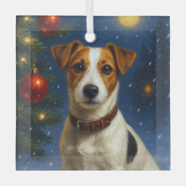 Jack Russell Terrier 