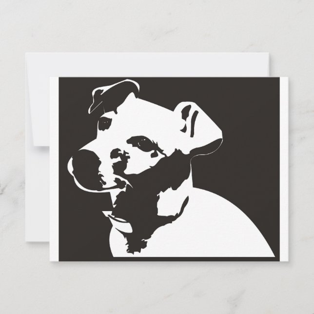 Jack Russell Terrier (Frente)