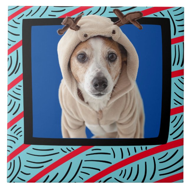 Jack Russell Terrier fotográfico personalizado (Frente)