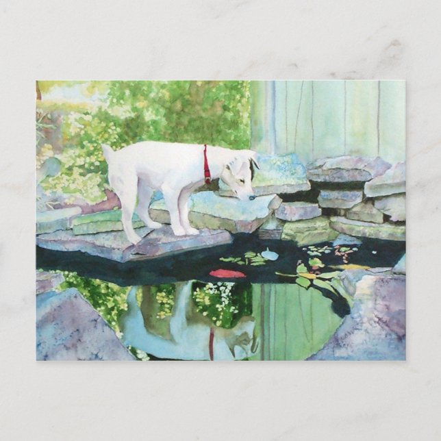 Jack Russell Terrier nº 1 Cartão postal (Frente)